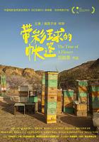 帶彩球的帳篷 線上看