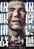 看不見的頂峯 線上看