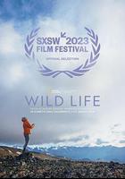 狂野人生 線上看