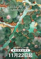 風味原產地·湖北 線上看
