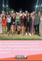 白馬公主 第三季 線上看