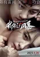 我經過風暴 線上看