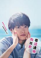 往這邊看 向井君 線上看