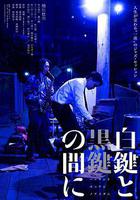 白鍵與黑鍵之間 / 白鍵と黒鍵の間に 線上看