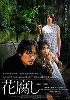 腐花之雨 線上看