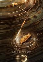 聲生不息·寶島季 線上看