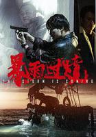 暴雨過境 線上看