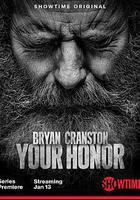 法官大人 第二季 / Your Honor Season 2 線上看