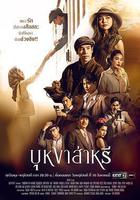 垂花琴木 線上看