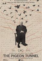 鴿子隧道 線上看