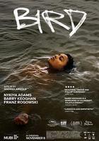 鳥 / Bird 線上看