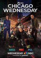 芝加哥急救 第十季 線上看