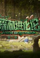 森林進化論 第二季 線上看