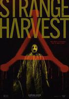 怪奇收割 線上看