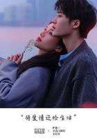 被我弄丟的你 線上看