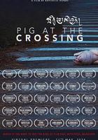 十字路口的豬 線上看