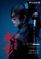 假面忍者赤影 線上看