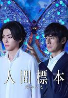 人類標本 線上看