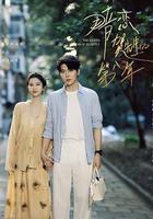 暗戀賀先生的第八年 線上看