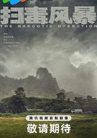 掃毒風暴 線上看