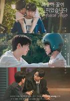 桃花開好了 / 복숭아 꽃이 피었습니다 線上看