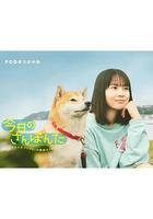 今日份的散步 線上看