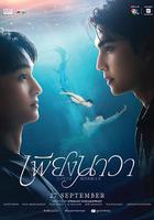 人魚戀人 線上看