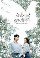 白色橄欖樹 線上看