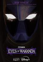 瓦坎達之眼 / Eyes of Wakanda 線上看