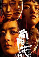 向陽·花 線上看