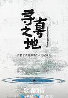 尋真之地 線上看