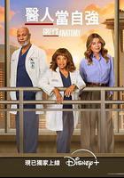 實習醫生格蕾 第二十二季 線上看