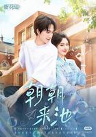 朝朝來池 線上看