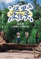 這裡沒信號 線上看