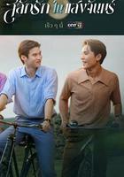 月光下的愛情 線上看