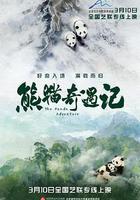 熊貓奇遇記 線上看