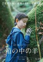 盒子裡的羊