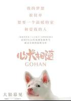 心犬相隨